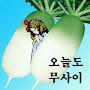 @오늘도무사이-d9y