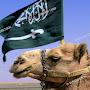 ‏Camel from Arabia