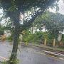 @순둥이-b3p
