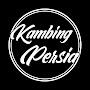 Kambing Persia