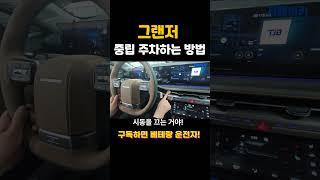 아주 쉽게 그랜저 중립주차!