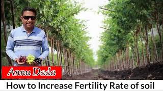 Fertility Rate ? | Annu Dada