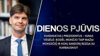 Kandidatas – Ignas Vėgėlė: kodėl mokėjo mažai mokesčių ir ką rezga su Karbauskiu? | DIENOS PJŪVIS