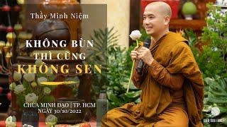 Thầy Minh Niệm | Không bùn thì cũng không sen | Chùa Minh Đạo | 30/10/2022