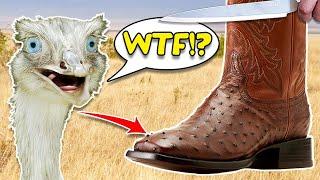 Why Ostrich leather Cowboy boots are expensive - Ariat Benchmade