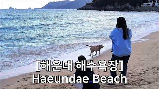 [해운대 해수욕장] 부산 해운대 가을 풍경 Haeundae Beach, Busan