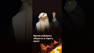 Что дальше? Садхгуру о переменах, огне жизни и новом этапе