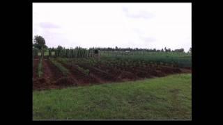 TEDxSanJoaquin - Rachel Zedeck - Fast Food Farming!