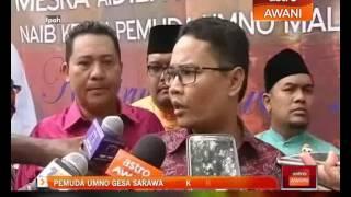 Pemuda UMNO gesa Sarawak Report disiasat