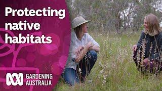 Exploring the conservation efforts reconnecting vulnerable species | Discovery | Gardening Australia