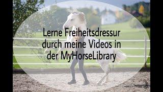 Freiheitsdressur lernen // Trailer Myhorselibrary