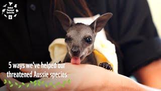 5 Ways We've Helped Our Threatened Aussie Species | WWF-Australia