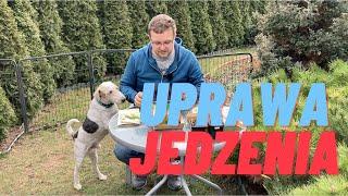 Uprawa jedzenia w domu w trudnych czasach