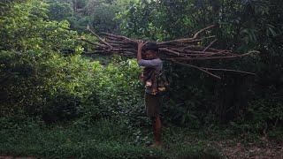 The hapiness of living in nature -  Build a chicken coop and forage bamboo shoot