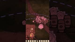 ПЧЕЛИНАЯ МАТКА без УРОНА в Don't Starve Together  КАК УБИТЬ КОРОЛЕВУ ПЧЕЛ #shorts #youtubeshorts