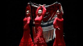 Caña（カーニャ）　日本フラメンコ協会 第32回新人公演 群舞部門 出演作品