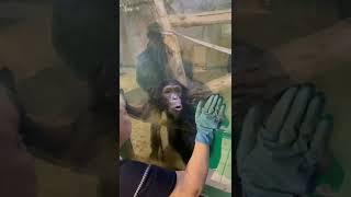 Похожие на нас