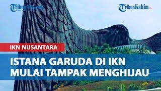 Penampakan Terkini Istana Garuda di IKN Nusantara, Mulai Tampak Menghijau