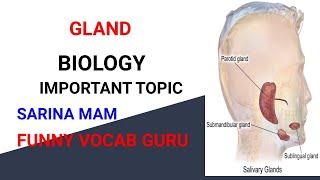GLAND (ग्रंथि) IMPORTANT TOPIC BIOLOGY (SCIENCE) BY SARINA MAM FUNNY VOCAB GURU