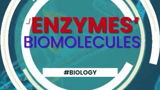 ENZYMES | Biomolecules | One shot | PREP4IISER | IISERs / IAT 25' (By Shrasti) | important topics