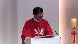 [매일미사 강론] 가족들이 하느님께서 주시는 기쁨을 체험하는 방법. 하느님 구원의 열매를 얻는 방법. 복자 윤지충 바오로와 동료 순교자들. 25.05.29./ 김재덕 베드로 신부