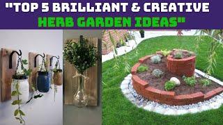 Top 5 Brilliant And Creative Herb Garden Ideas