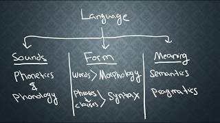 SEMANTICS-1: What is Semantics?