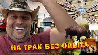 Работа на траке в США/ Старт без опыта/ Фарго/ Зоопарк и прогулка. 37/24