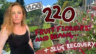 Flowers and Fruit tour. + Beans. And the Sowing continues! Ep 220 || Plot 37