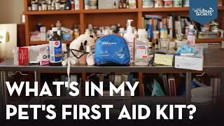 Dr. Jones' Essential Pet First Aid Tips for EMERGENCY Situations