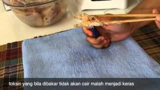 Biozone Food Purifier Full Demo by maisarahibrahim.com