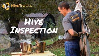 Inspecting a Hive