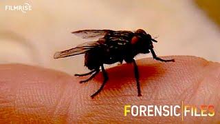 Forensic Files - Season 1, Episode 6 - Southside Strangler - (In HD)