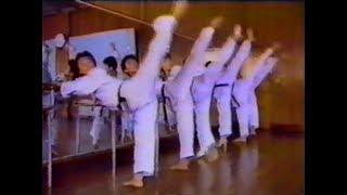 1980s Taekwondo WTF Documentary (KTA Korea National Team Training)