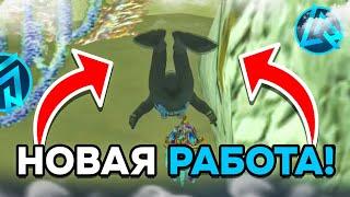 ОБЗОР НОВЫЙ РАБОТЫ ДАЙВЕРА, НА LIVE RUSSIA СКОЛЬКО МОЖНО ЗАРАБОТАТЬ НА РАБОТЕ ДАЙВЕРА? LIVE RUSSIA