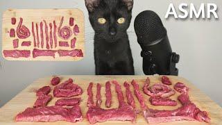 Cat Eating Raw Beef ASMR