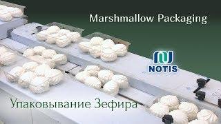 Линия упаковки зефира - NOTIS - marshmallow packing line