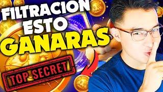 URGENTE SE REVELA CUANTO GANARAS EN HAMSTER KOMBAT EN ESTOS DOCUMENTOS SECRETOS  HAMSTER KOMBAT