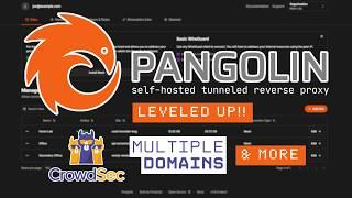 Pangolin Update: More Domains, More Security, More Awesome