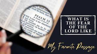 WHAT IS THE FEAR OF THE LORD LIKE - Cristi Oniga