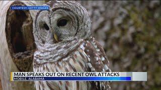 Man attacked by owl twice in less than a week in Mobile