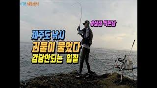 제주도 벵에돔 낚시 - 섶섬 썩은낭 괴물과의 한판승부