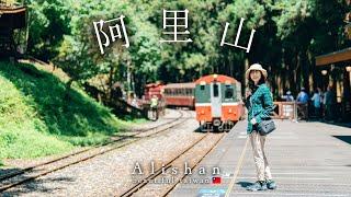 Journey to Alishan, the most beautiful natural area in Taiwan