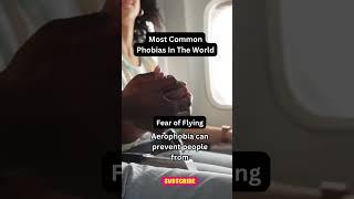 Fear of Flying? ️ The Truth About Aerophobia & How to Overcome It!