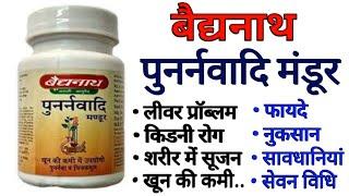 Baidyanath Punarnavadi Mandoor Benefits | Uses | Dosage | Side Effects | Health Benefits