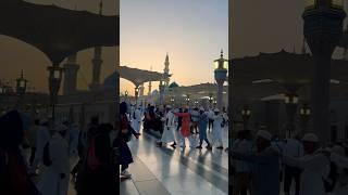 Riyaz ul Jannah in Madina Live Hajj2025#madina #haji #beautiful #riyazuljannah #shorts #ytshorts