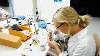 BSc (Hons) Dental Technology at Cardiff Metropolitan University