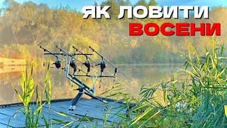 Було звичайне клювання, а там був він.. Зловив мрію кожного. Як та на що ловити коропа восени