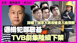 TVB涉鄭敬基演出劇集陸續下架，加拿大政府發聲明撐「香港人」，公開呼籲撤銷港區國安法