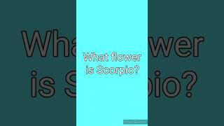  What flower is Scorpio?